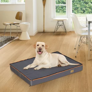 Large grey orthopedic dog bed with orange trim