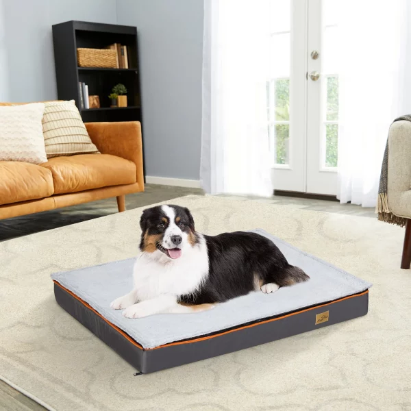Dog resting comfortably on a padded orthopedic dog bed