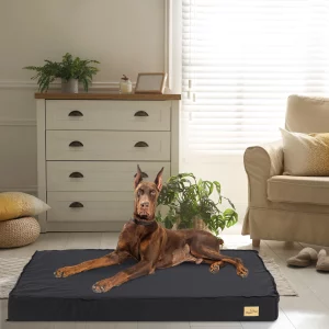 Orthopedic dog bed for large dogs, front view showing plush surface