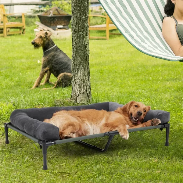 Dog resting comfortably on a cooling elevated pet lounger