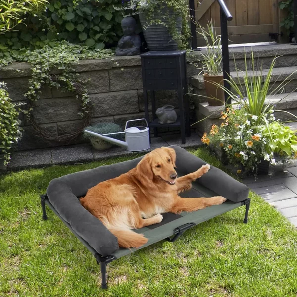 Raised dog bed featuring a plush bolster for head support