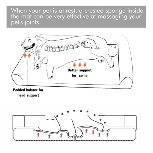 Dog resting comfortably on an extra large orthopedic dog bed
