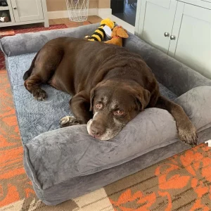 Extra large grey orthopedic dog bed with plush cover, side view