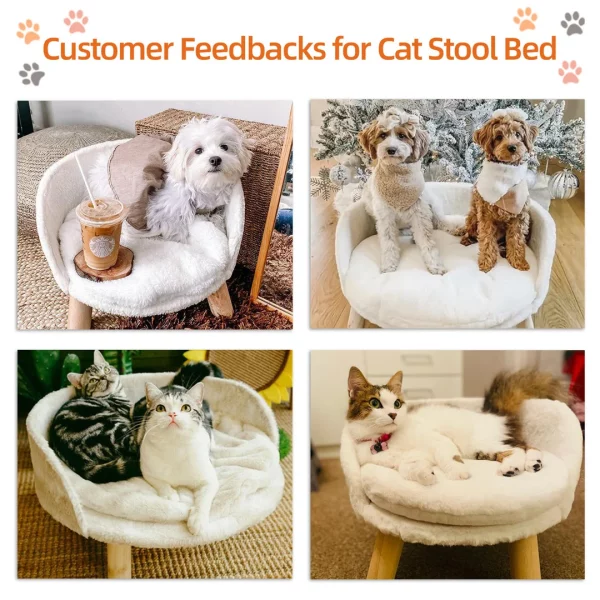 A cat comfortably lounging inside the plush luxury cat bed