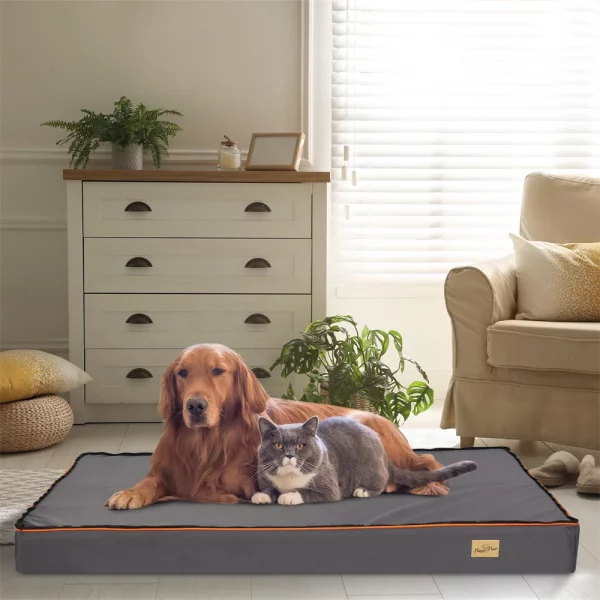 Dog resting comfortably on the large orthopedic memory foam bed