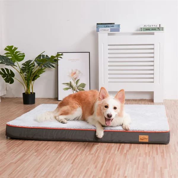 Close-up of thick memory foam inside the orthopedic dog bed