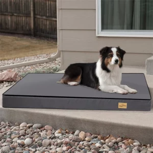 Large orthopaedic dog bed, front view, showing plush surface.