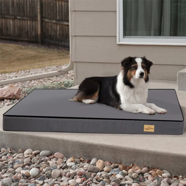 Large orthopaedic dog bed, front view, showing plush surface.