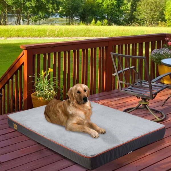 Large orthopedic dog bed with grey linter fabric surface and memory foam base