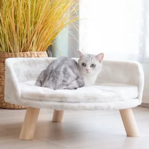 Washable cushion cat bed, easy clean pet furniture, comfortable pet resting spot