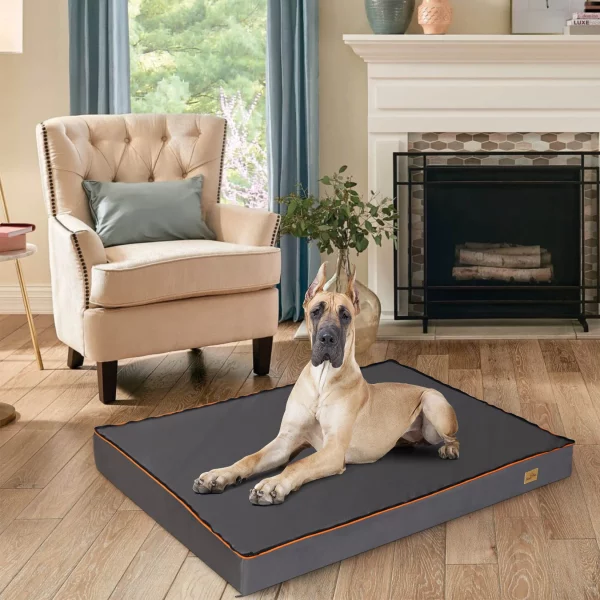Dog resting on thick orthopedic dog bed, showing comfort