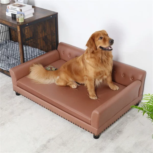 Dog relaxing comfortably on large elevated dog bed