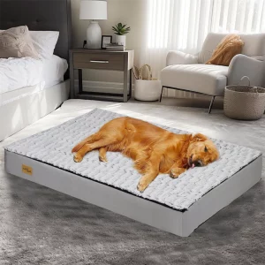 Orthopedic dog bed with plush grey top and supportive sponge foam base