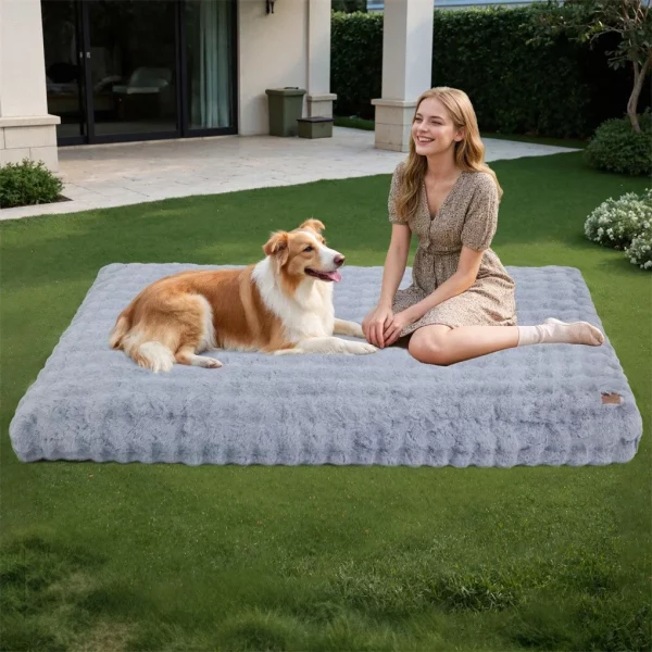 Dog sleeping peacefully on cosy pet bed