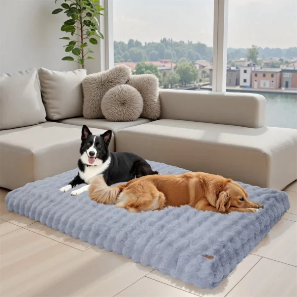 Dog bed with removable cover, demonstrating ease of cleaning