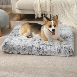 Cosy grey pet dog bed, soft cushion, for indoor relaxation