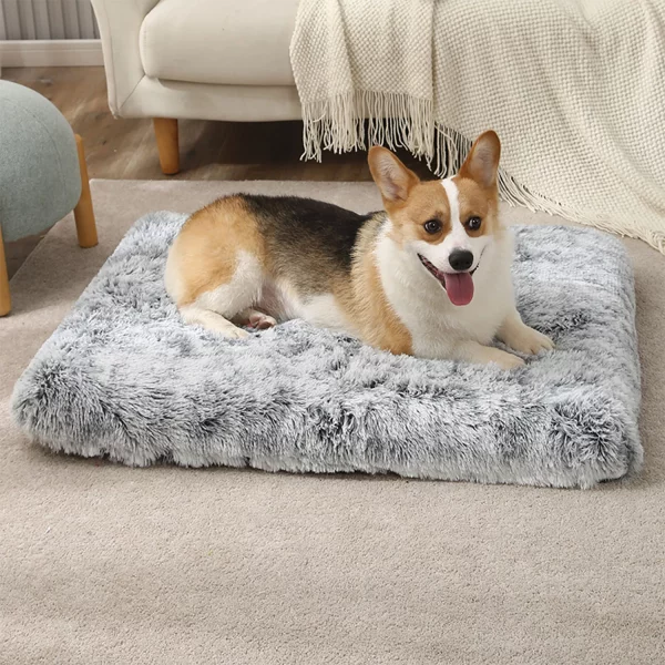 Cosy grey pet dog bed, soft cushion, for indoor relaxation