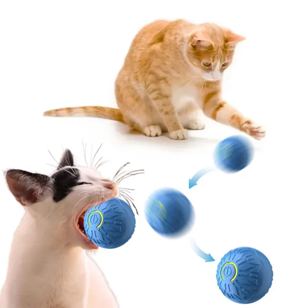 A cat actively playing with the automatic rolling ball toy