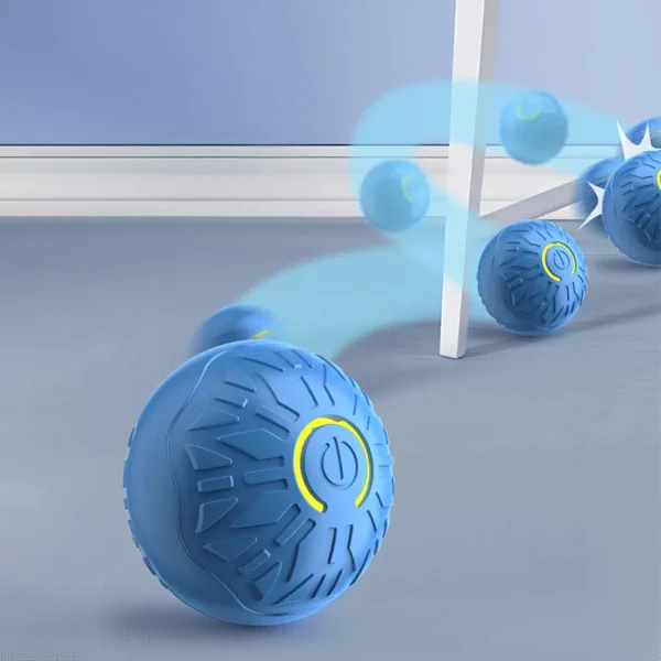 Cat intently watching the smart pet toy as it rolls
