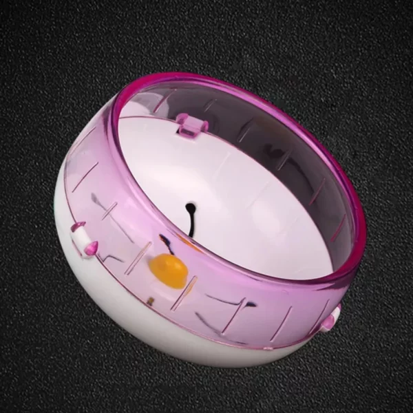 Close-up of the hamster wheel's smooth, wide running surface