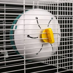 Hamster running on a silent exercise wheel, front view