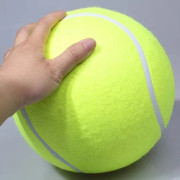 Dog playing fetch with a giant tennis ball in a grassy outdoor setting.
