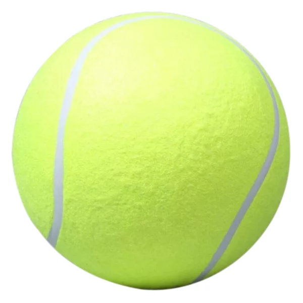 Group of dogs interacting with a giant tennis ball during outdoor play.