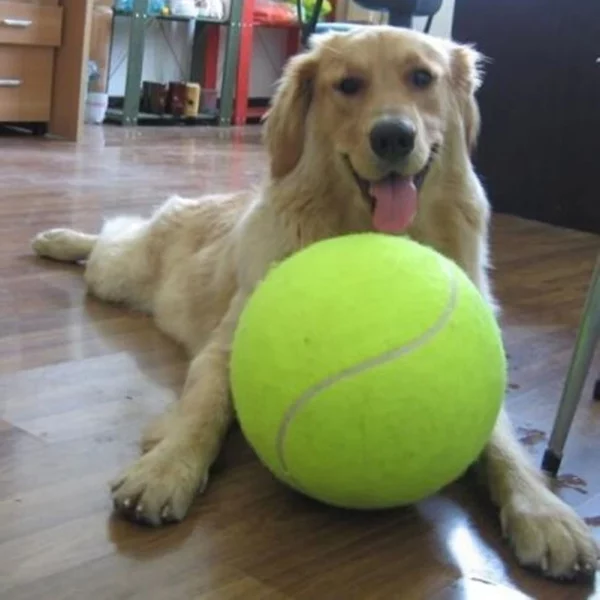 Large inflatable dog ball, close-up of the textured surface.