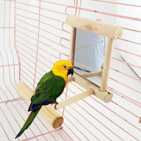 Close-up of the sturdy wooden perch on the bird mirror toy, highlighting its natural grain.