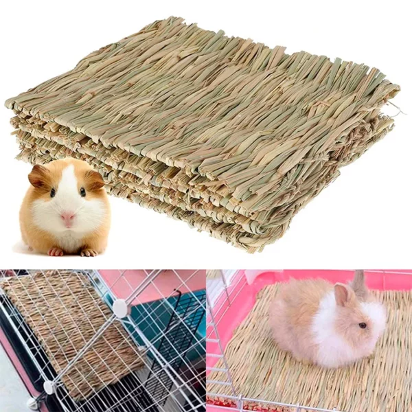 Close-up of handwoven grass straw pet mat, showing material detail.
