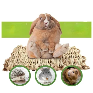 Small Animal Bedding