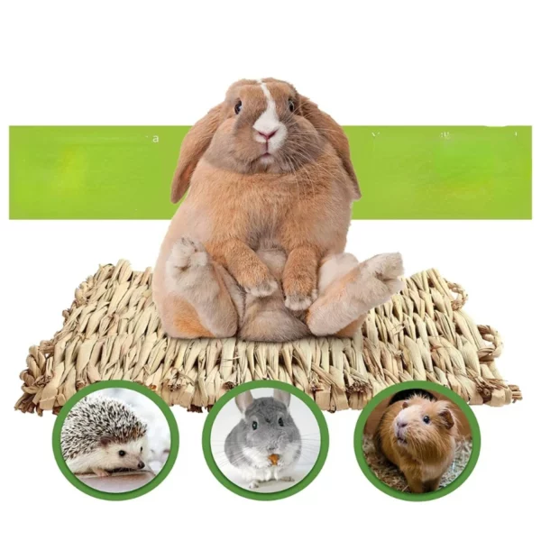 Pet straw mat, natural woven texture, laid flat.