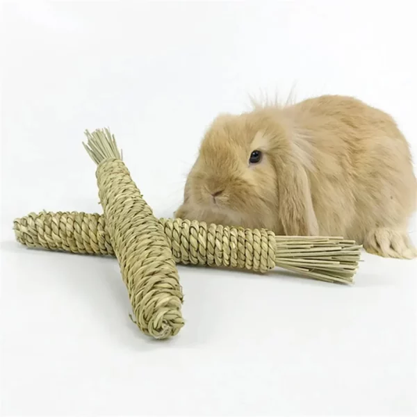 Close-up view of the natural grass woven texture of the carrot toy.