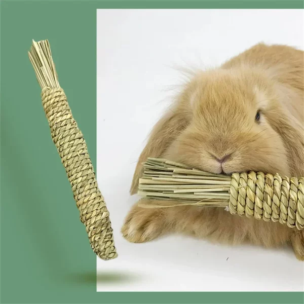 The carrot toy placed in a natural setting, perhaps near hay or bedding.