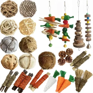 Chew Toys