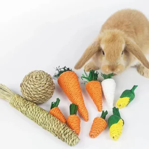 Small Animals