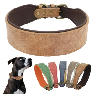 Close-up of wide leather dog collar buckle and leather texture