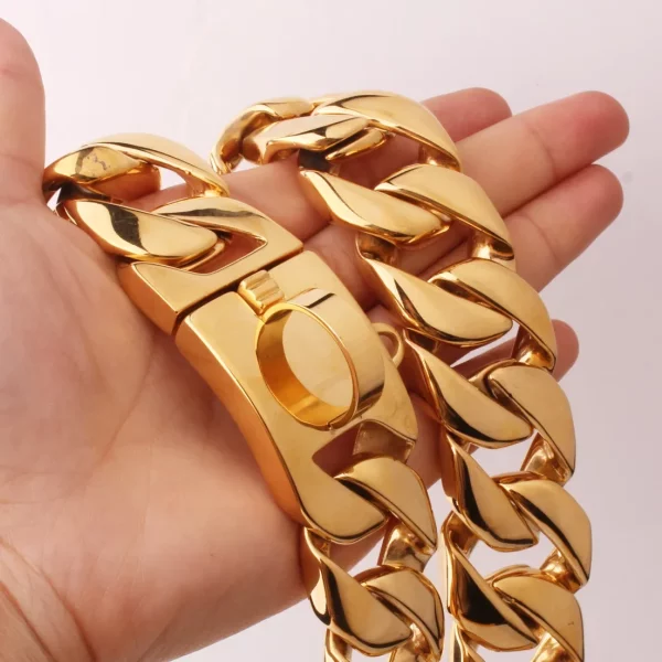 Dog wearing a silver metal chain training collar