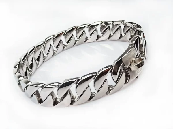 Dog with a silver metal training choke collar