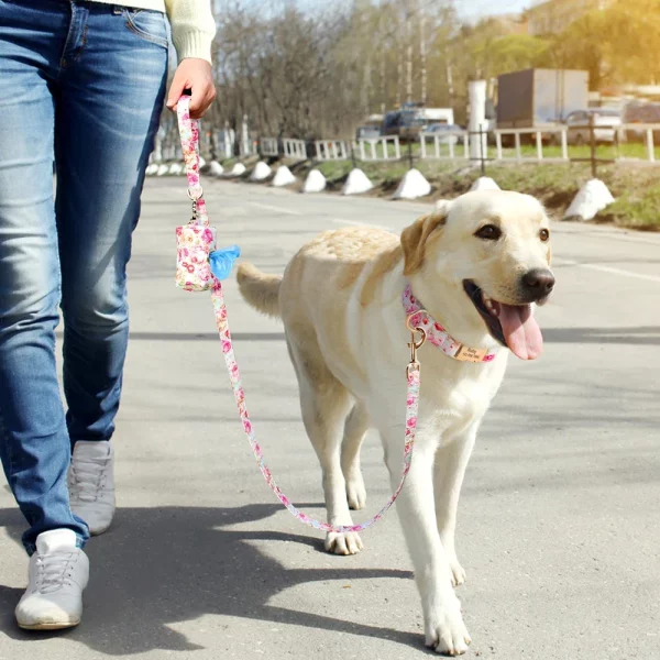 A dog on a walk with a floral print leash