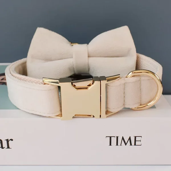 Close-up of the personalized dog collar showing velvet texture and stitching.