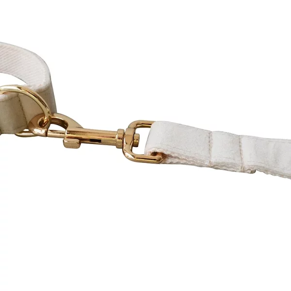 Side view of a personalized dog collar, highlighting the adjustable strap and D-ring.
