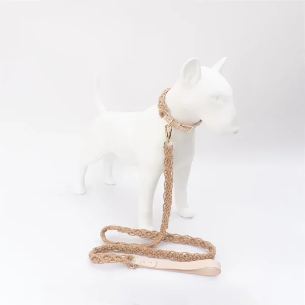 Detail of the secure clasp and hardware on a leather dog leash