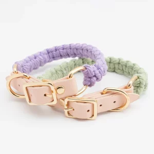 Close-up of soft leather dog collar and leash set showing texture