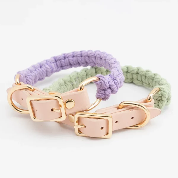 Close-up of soft leather dog collar and leash set showing texture