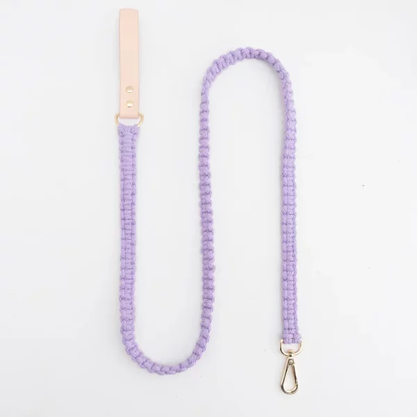 Dog wearing a stylish leather collar and leash set