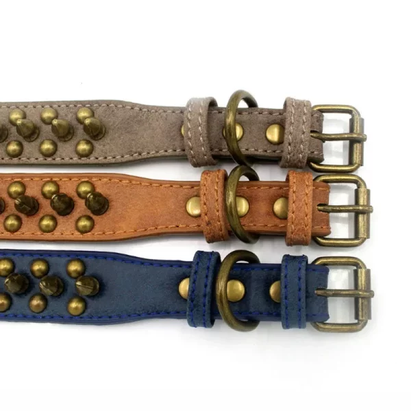 Leather dog collar with golden studs, angled view