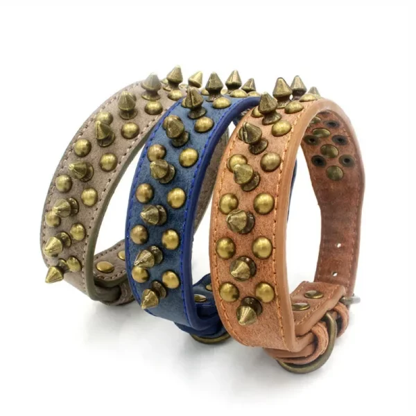 Studded leather dog collar, showing buckle and D-ring