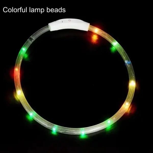Dog with a vibrant red LED collar, clearly visible in the dark
