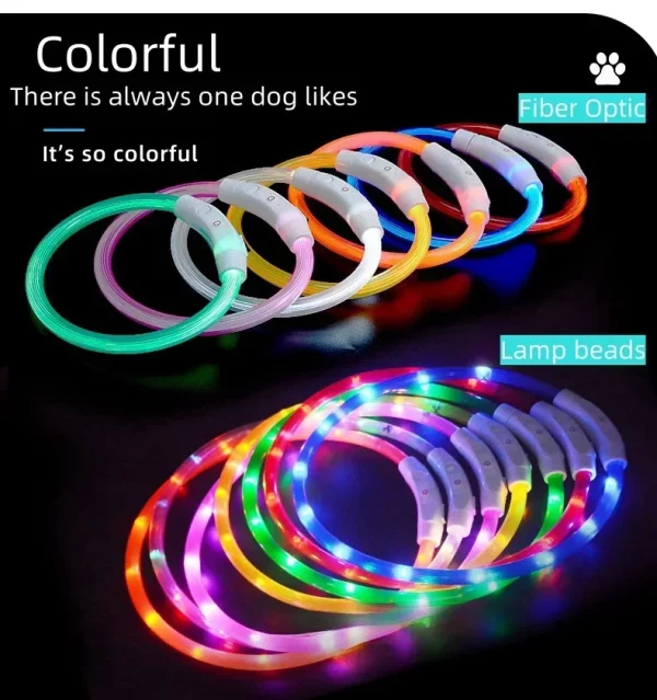 White LED light collar on a dog, showcasing its illumination feature